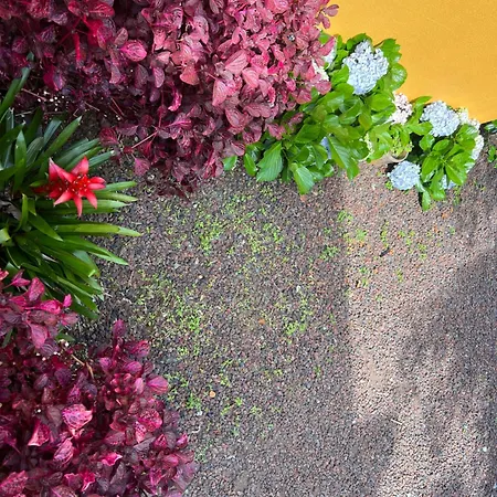 A Casa Amarela * Capelas (Sao Miguel)