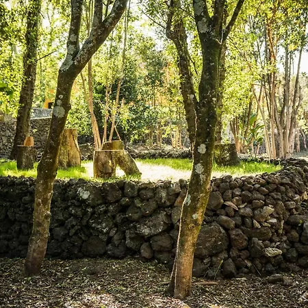 A Casa Amarela Holiday home