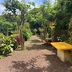 Holiday home A Casa Amarela Capelas (Sao Miguel)