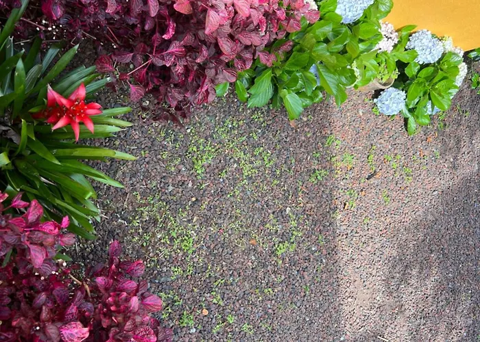 A Casa Amarela * Capelas (Sao Miguel)